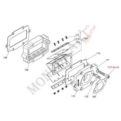 Membrane Satz für Reedster IAME KF - OK - OKJ, MONDOKART, kart