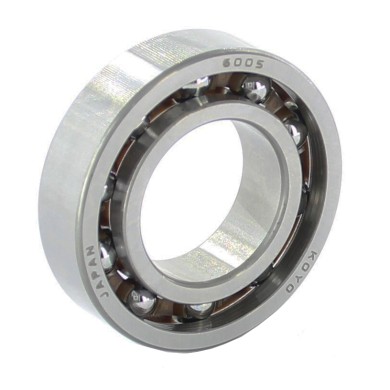 Koyo Bearing 6005 C4 (Polyamide)