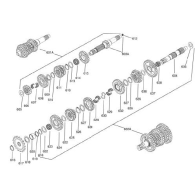 Albero primario completo Iame Screamer KZ, MONDOKART, kart, go