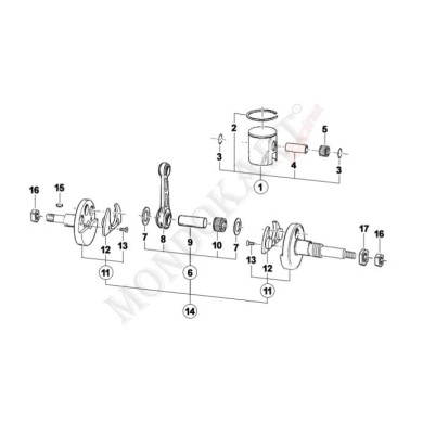 Dado M10x1 accensione TM 60cc mini, MONDOKART, kart, go kart